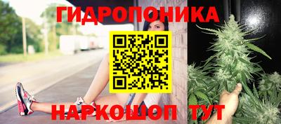 скорость Краснознаменск