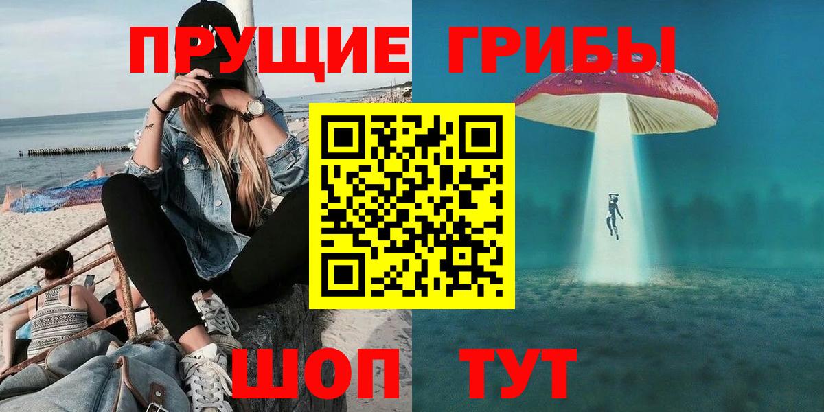 Дмитров  Галлюциногенные грибы MAGIC MUSHROOMS  как найти   Вход с VPN 